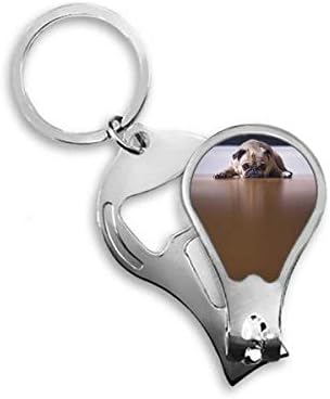 Кучето Е Животно Стая Изображение Пол Машина За Рязане На Ноктите На Нож Отварачка Ключодържател Ножици
