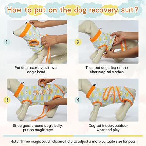 Монтиране на Възстановителния Костюм T ' CHAQUE за кучета След операцията, Алтернатива на Рани в областта на корема с