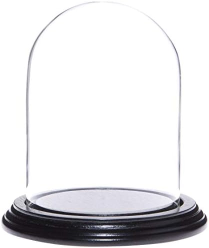 Стъклена витрина Plymor 4 x 5,25 дамска шапка клош (основа от фурнир от абанос)