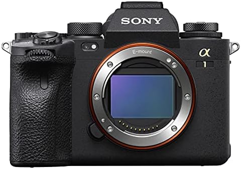 Беззеркальная цифров фотоапарат Sony Alpha 1 с обектив FE 70-200 mm f/2.8 GM OSS II, в комплект с раница на Lowepro m-Преселник