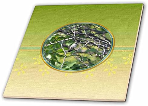 Триизмерна фотография колибри на фона на кайсия дърво в кръгла рамка - Tiles (ct_353676_1)