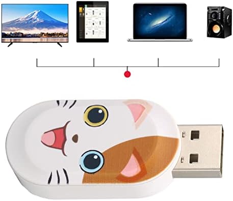 Cartoony флаш памет USB 2.0, USB устройство с модел на Привлекателен Котка, Щепсела и да Играе, Преносим U-диск, Аксесоари