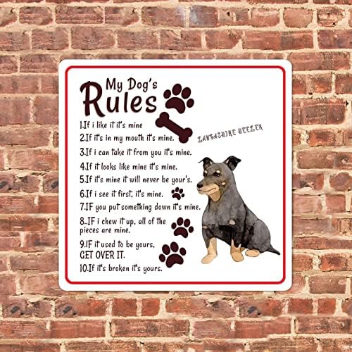 Alioyoit Правила на Кучето ми е Забавно Метални Табели с Кучето Знак на Поздрав Кучета, Античен Метален Плакат, Винтажное