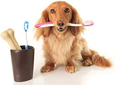 Дишане за хигиена на устната кухина на кучето - Грижа за здрави зъбите на кучето - Комплекс за венците и зъбите - Предотвратява