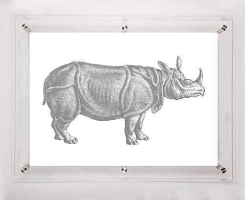 Rhino Charcoal, 9x12 инча.
