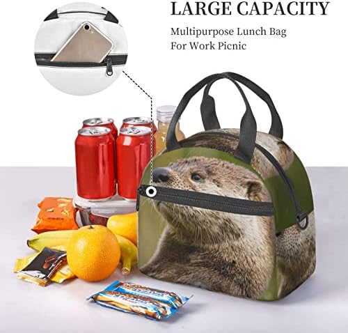 Чанта за обяд с принтом животни LYNSAY Otter, Лека И Здрава, Регулируема Презрамка, Множество Чанта За Обяд, Преносим