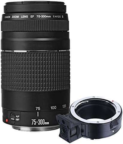 Беззеркальная цифров фотоапарат Canon EOS R6, с обектив RF RF 24-105 mm f/4 L is USM + обектив 75-300 мм F / 4-5.6 III