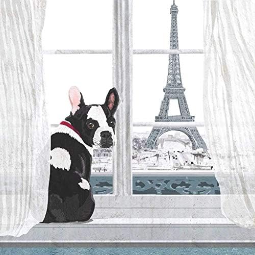 Комплект от 2 на Хартиен носител Коктейлни Салфетки за кучета и котки (20 карата) Париж Франция Вид от прозореца